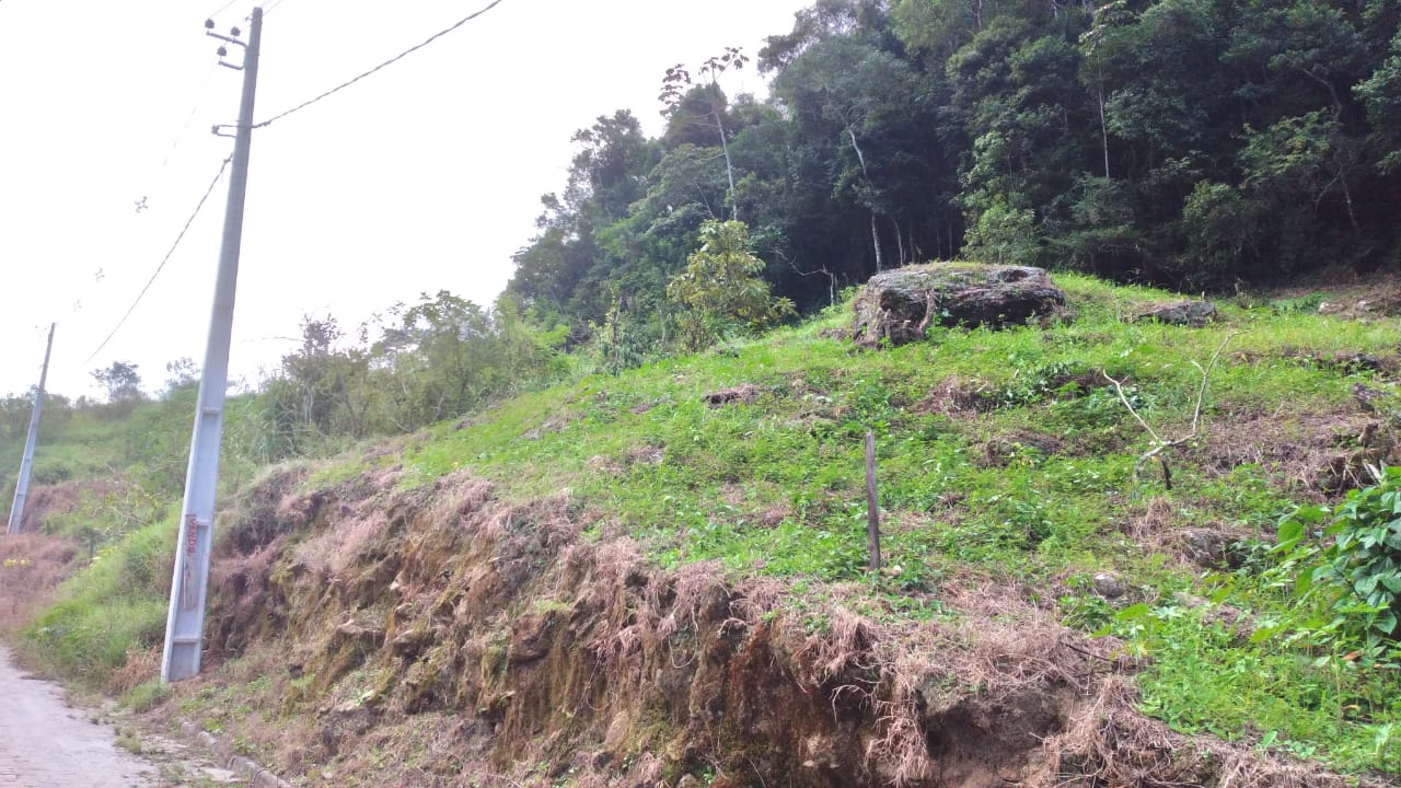 Terrenos em São Pedro da Serra. Código: VT012