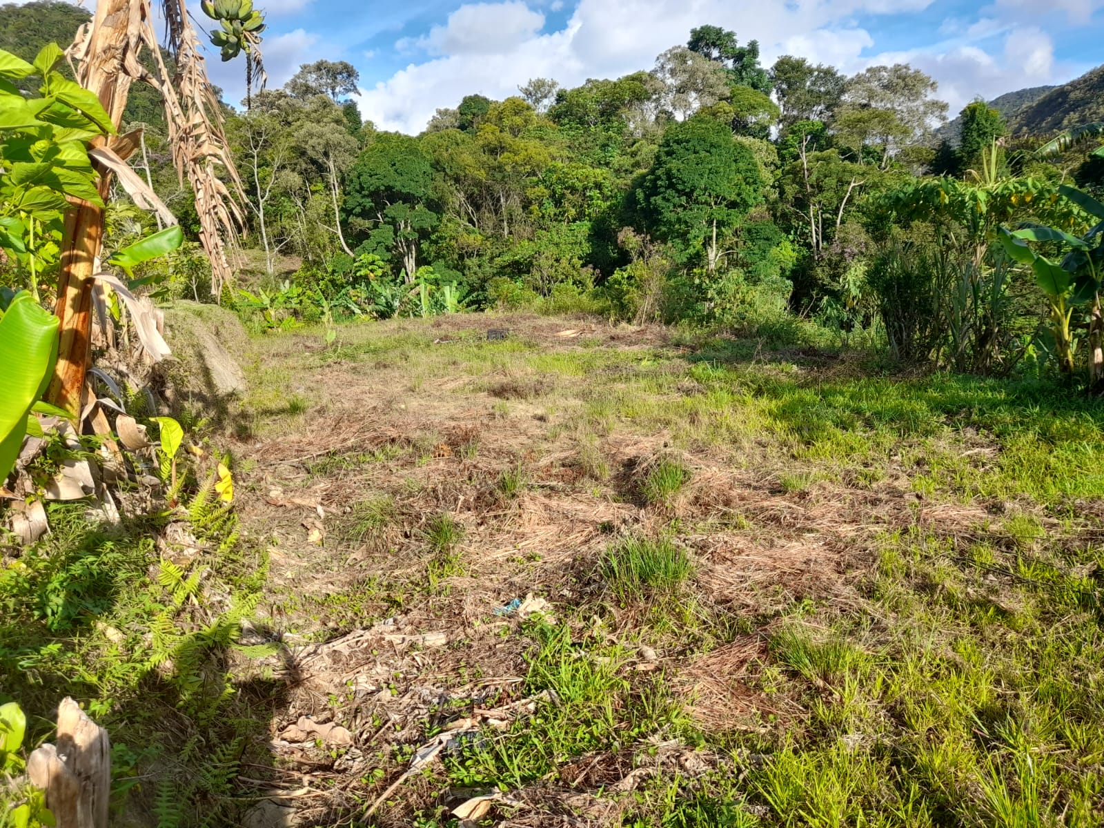 Ótimo Terreno Próximo ao Centro de Lumiar. Código: VT064