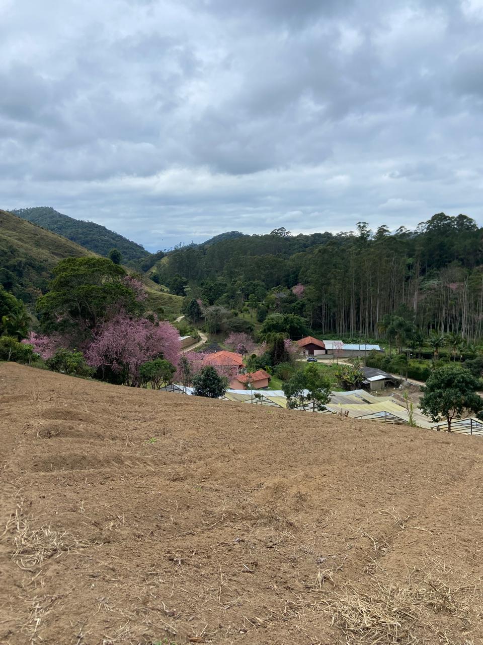 Espetacular Terreno em Vargem Alta. Código: VT03