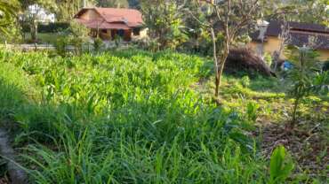 Terreno Plano no Centro de São Pedro da Serra. Código: VT07
