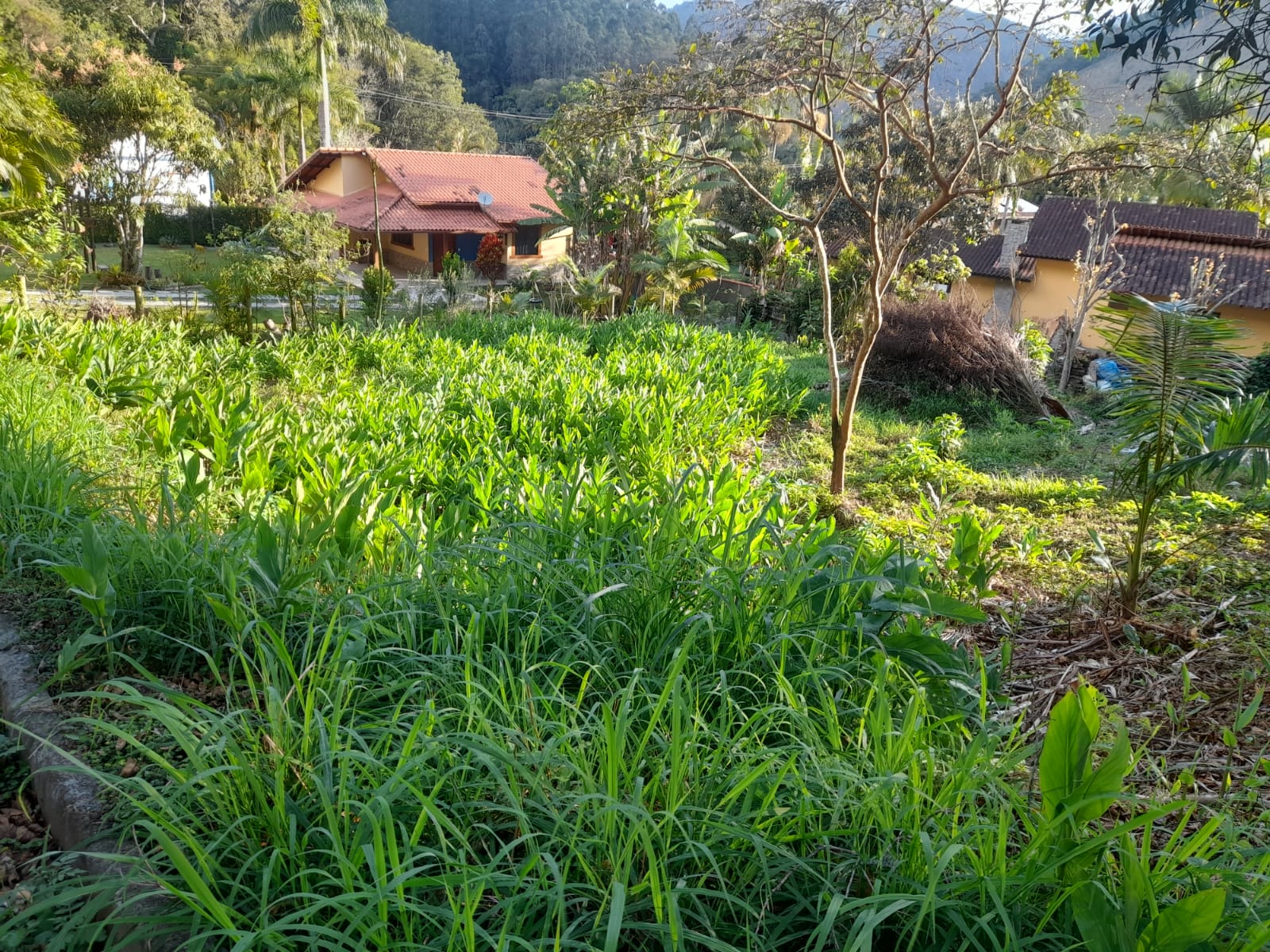 Terreno Plano no Centro de São Pedro da Serra. Código: VT07