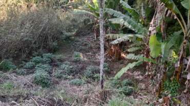 Ótimo Terreno no Centro de São Pedro da Serra. Código: VT05