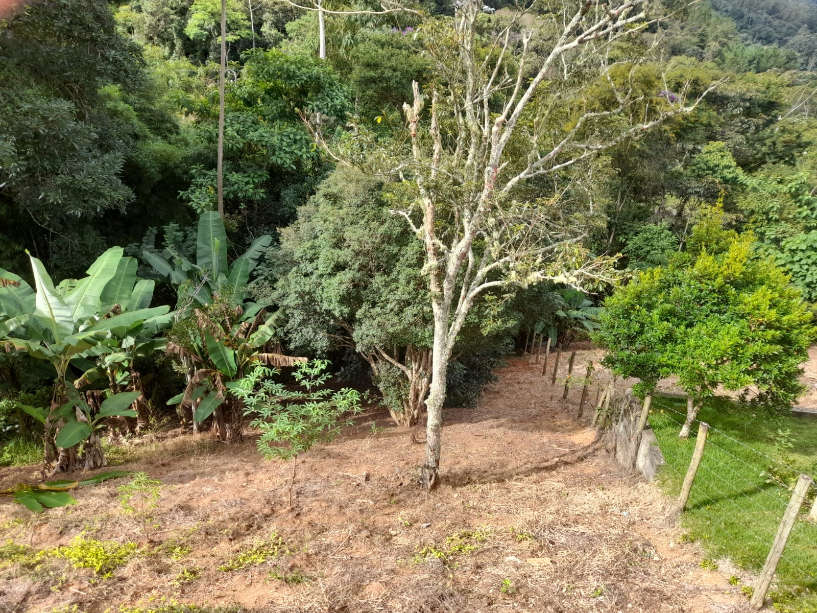 Ótimo Terreno com Linda Vista a 3 Km do Centro de Lumiar. Código: VT09