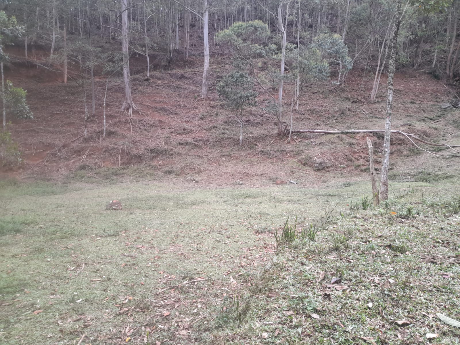 Excelente Terreno com Água e Luz Próximo a Lumiar. Código: VT013